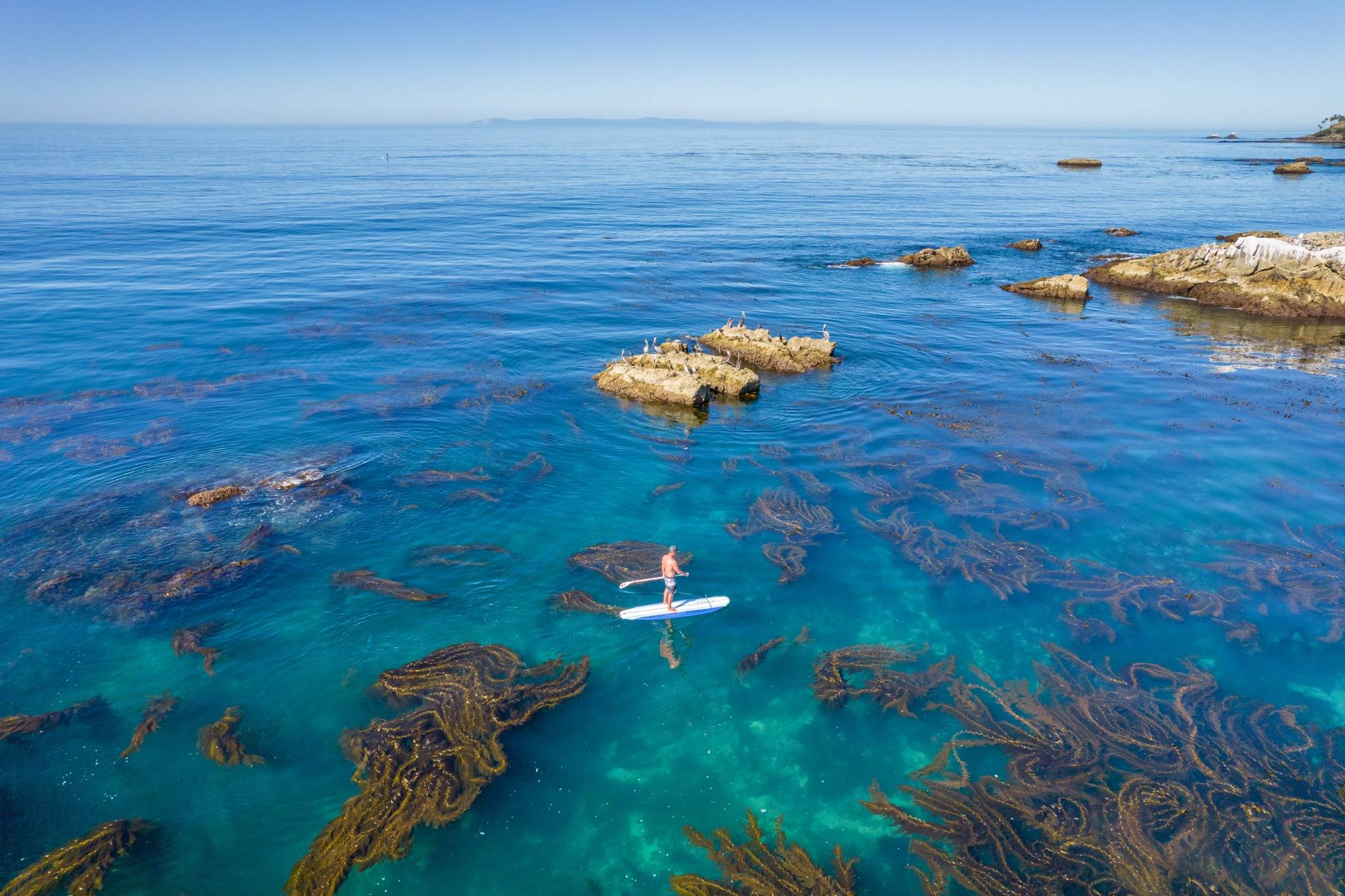 visit-laguna-beach