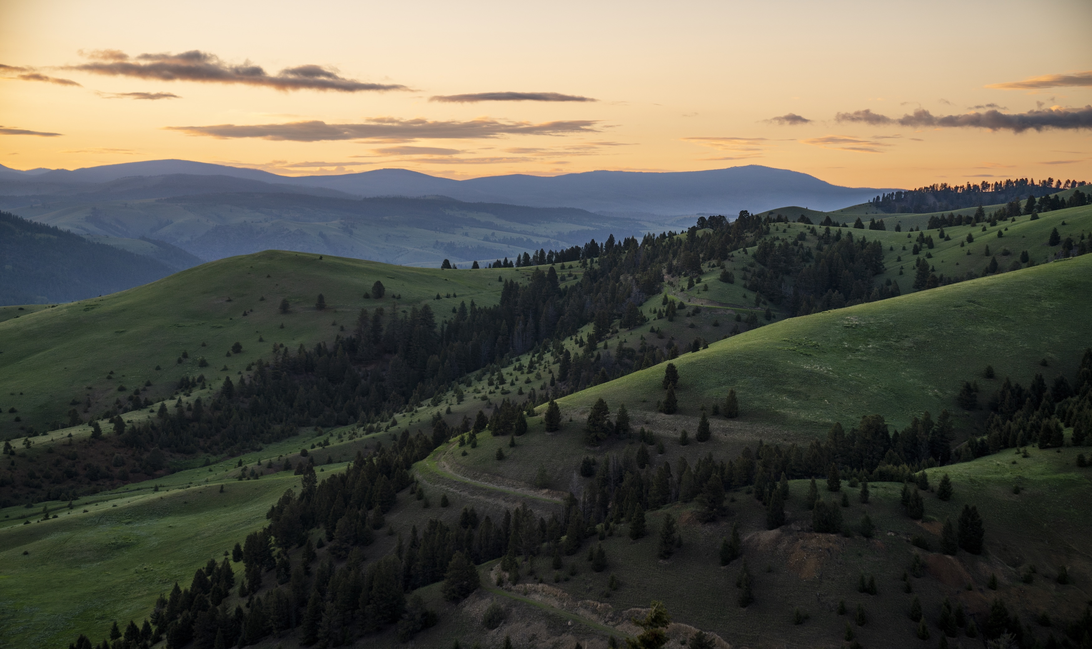 sunset-over-the-meadows-on-rock-creek
