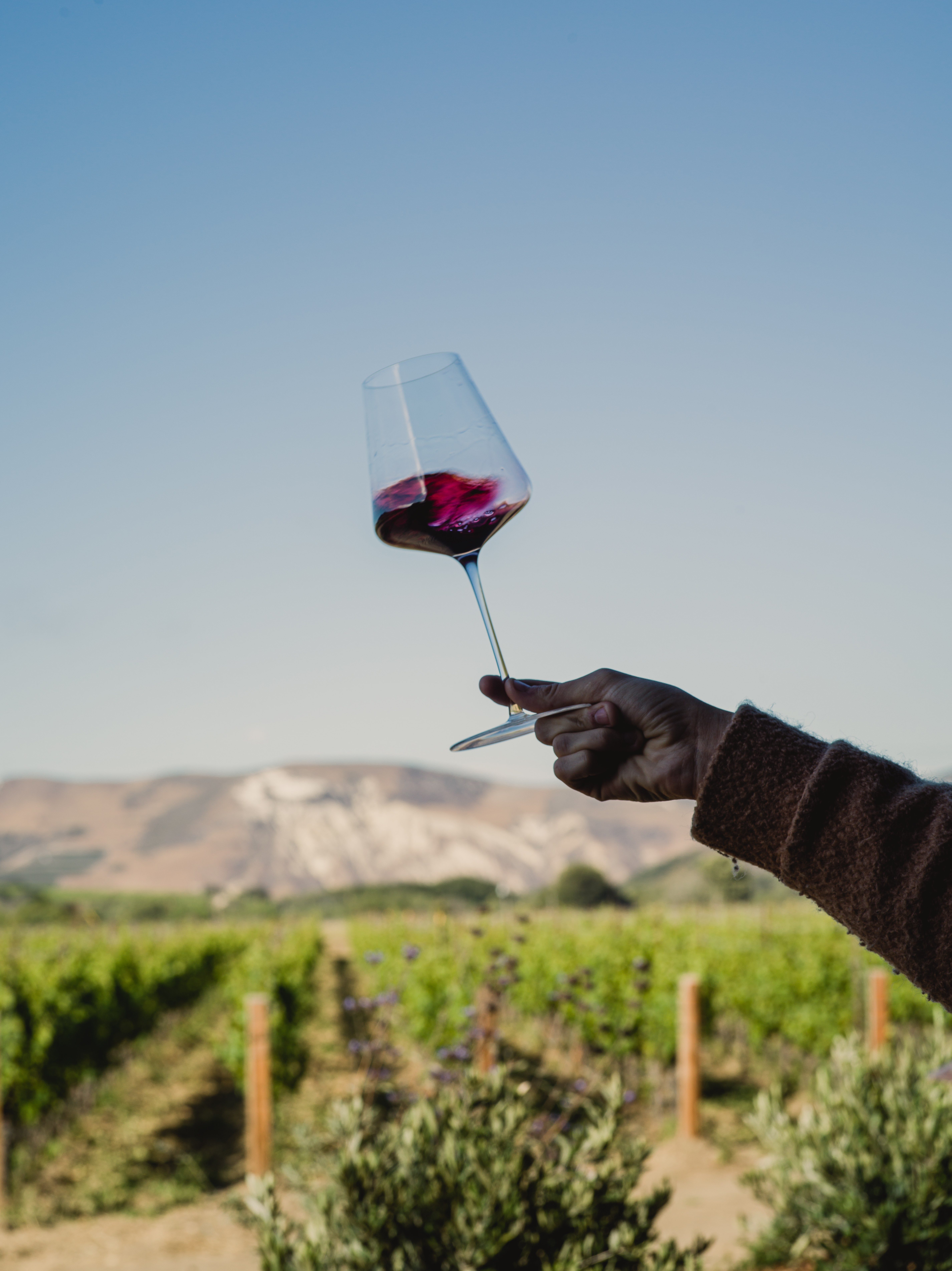 view-of-the-vineyards-from-the-barn-at-the-hilt-estate