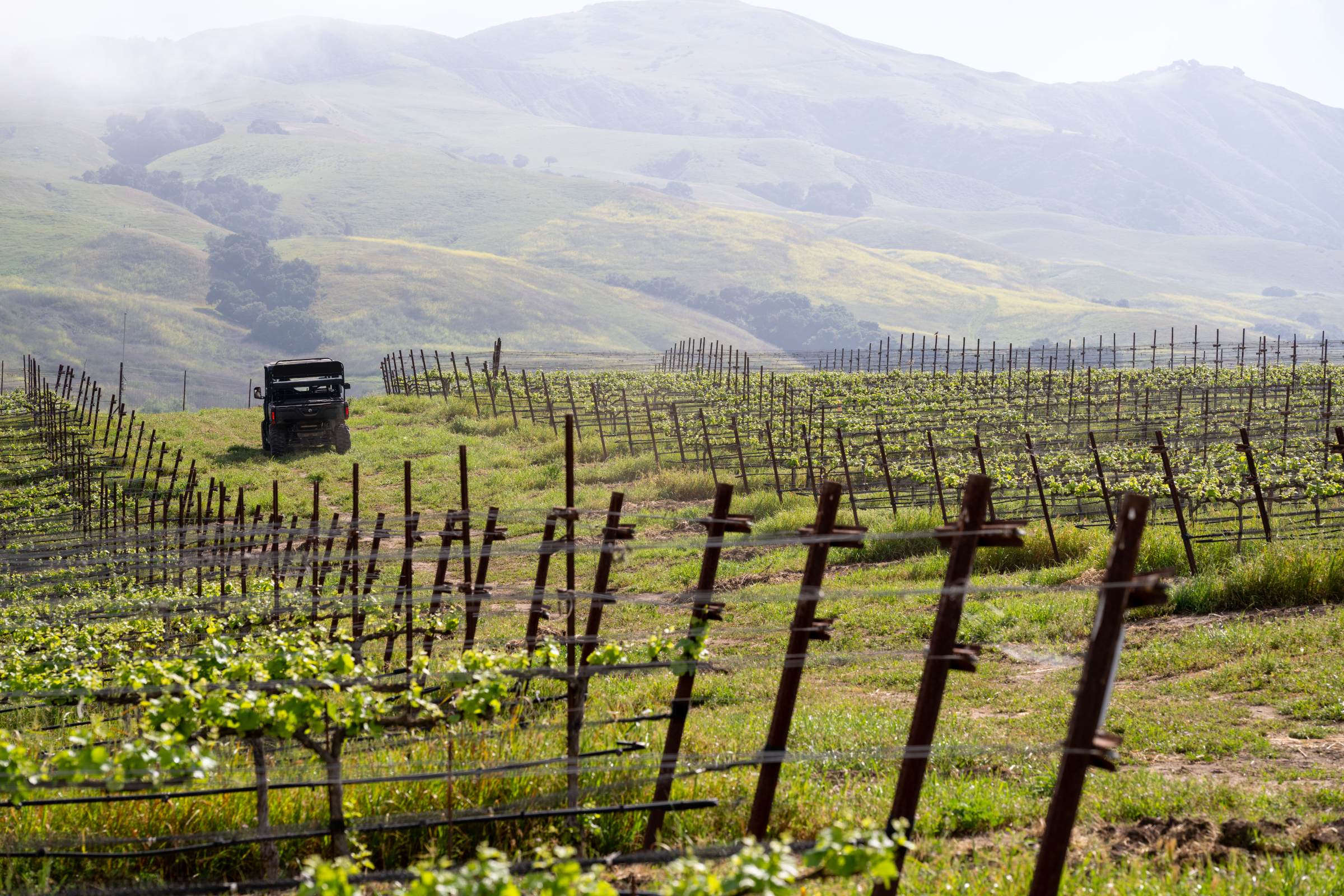 alma-rosa-vineyard-excursion-estate-tasting