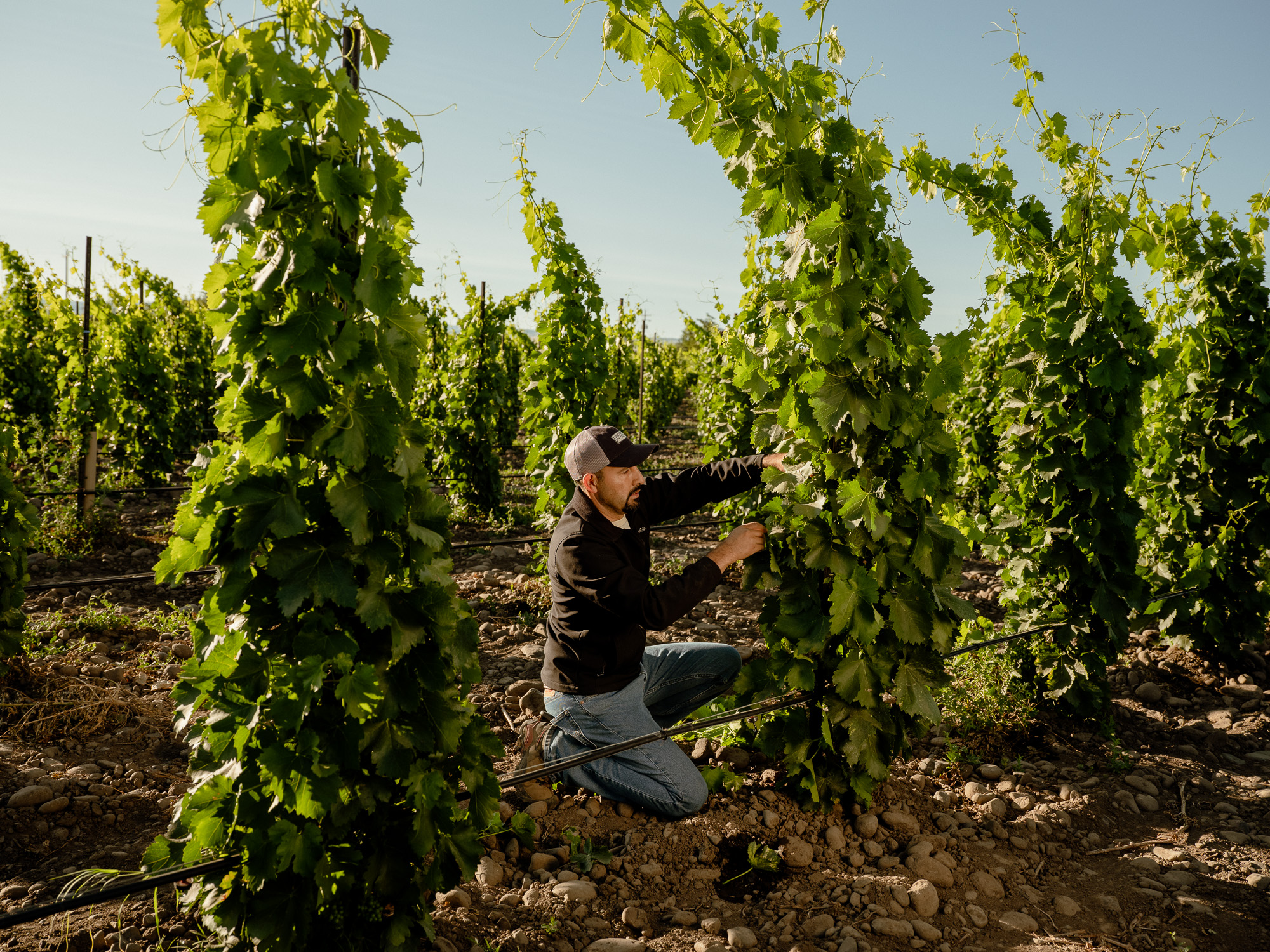 in-the-rocks-district-ava-one-of-north-americas-most-distinct-wine-regions
