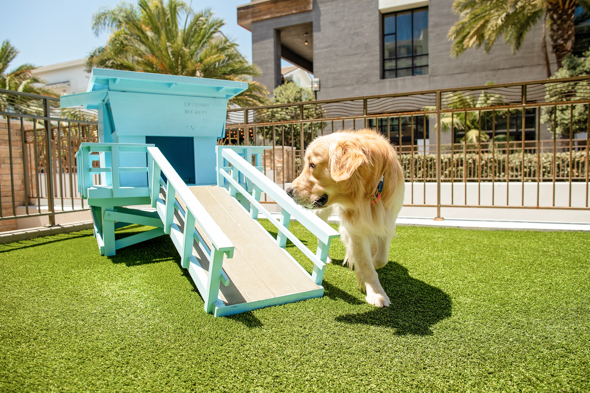 paw-sea-pet-park