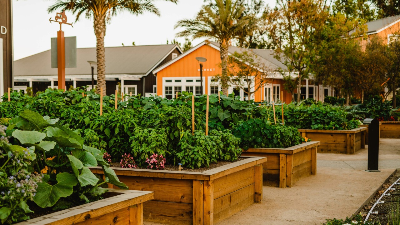 culinary-gardens