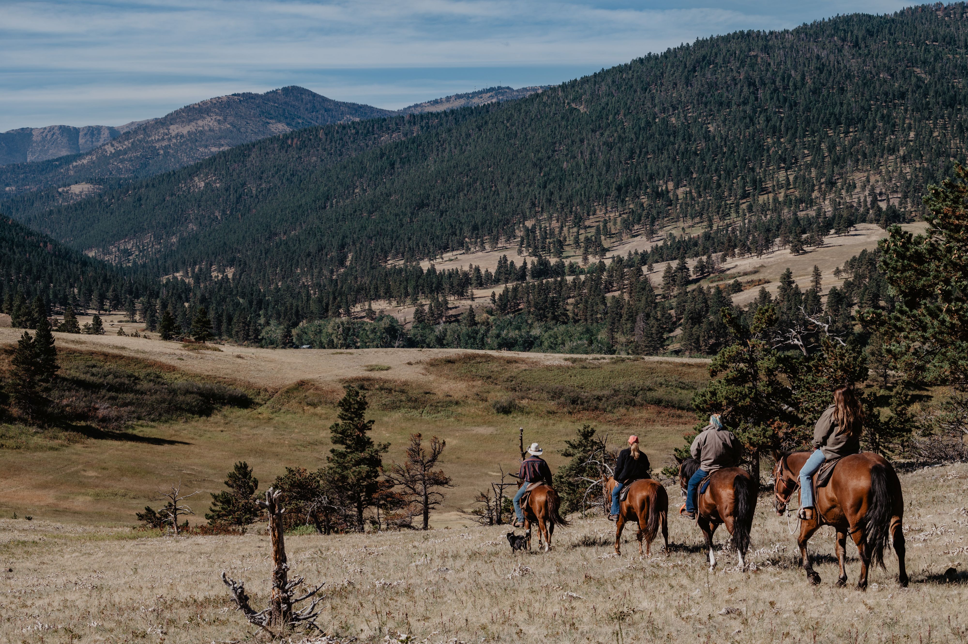 trail-ride-through-open-meadow-at-blacktail-ranch-mt