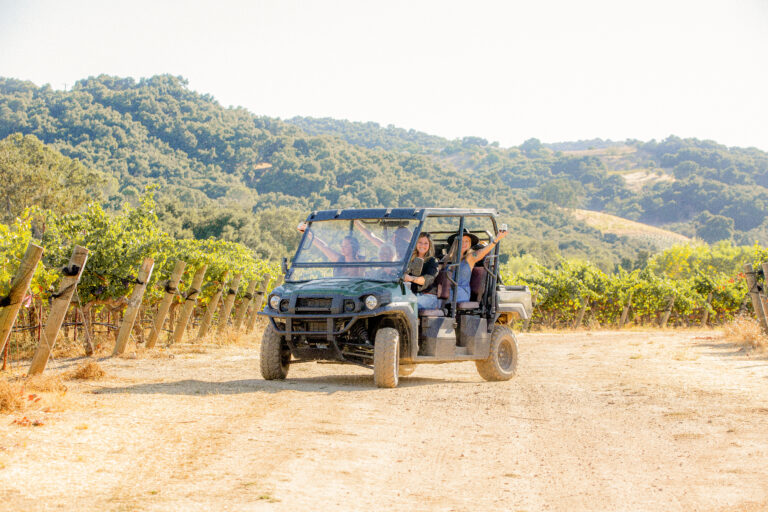 vineyard-tour-tasting-onx-estate-vineyard