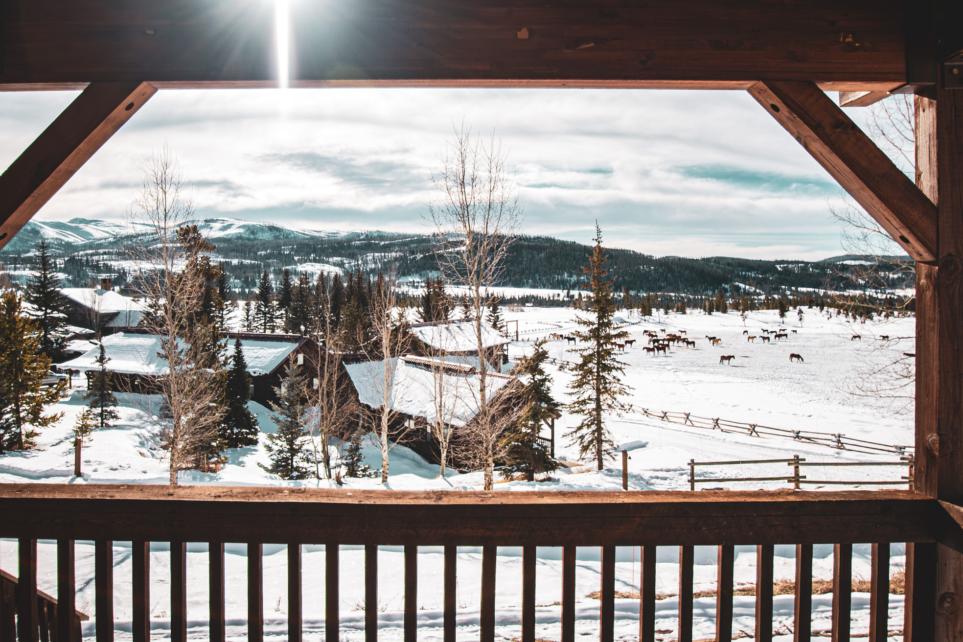 view-from-saddle-cabin