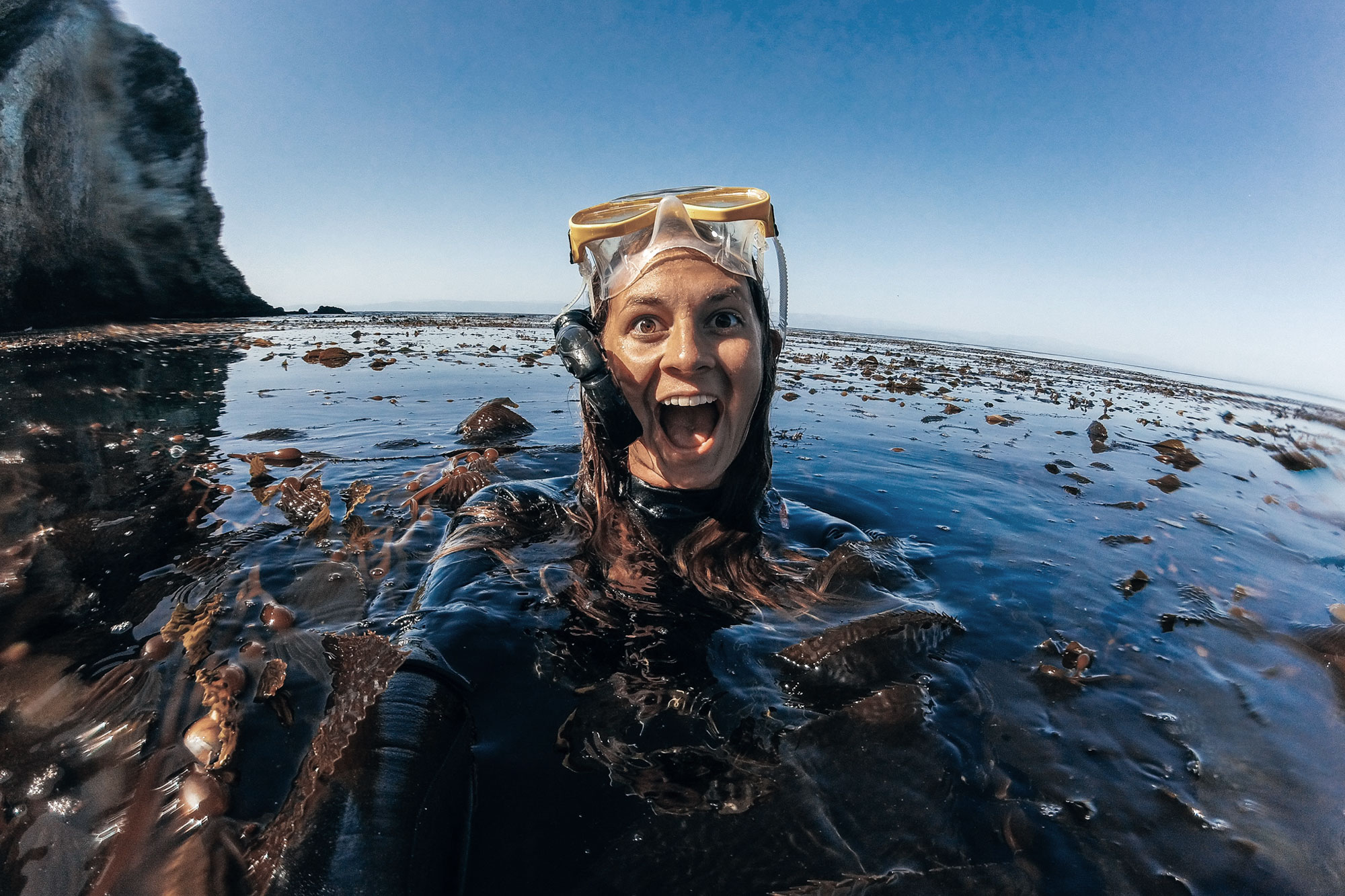a-snorkeler-floats-among-dense-kelp-surrounded-by-one-of-californias-most-vibrant-marine-ecosystems