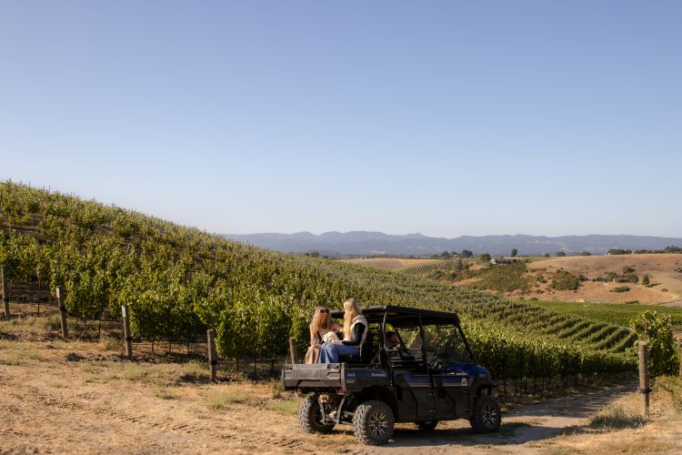 kcv-vineyard-tour