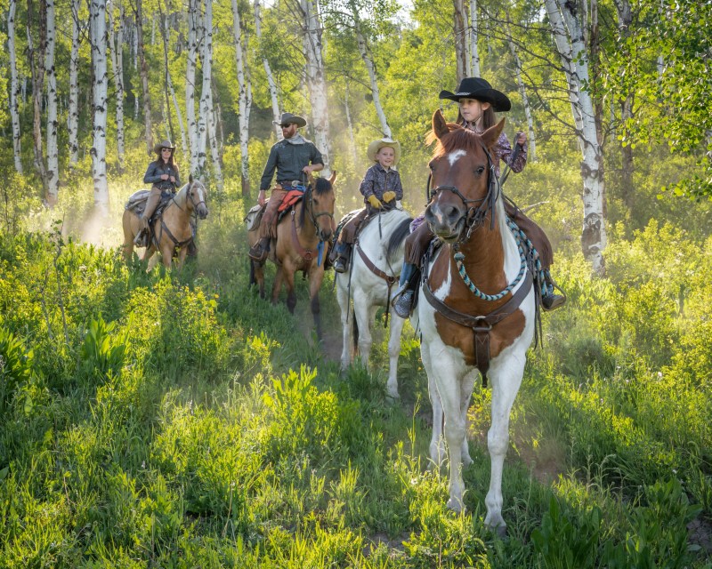 Vista Verde Ranch