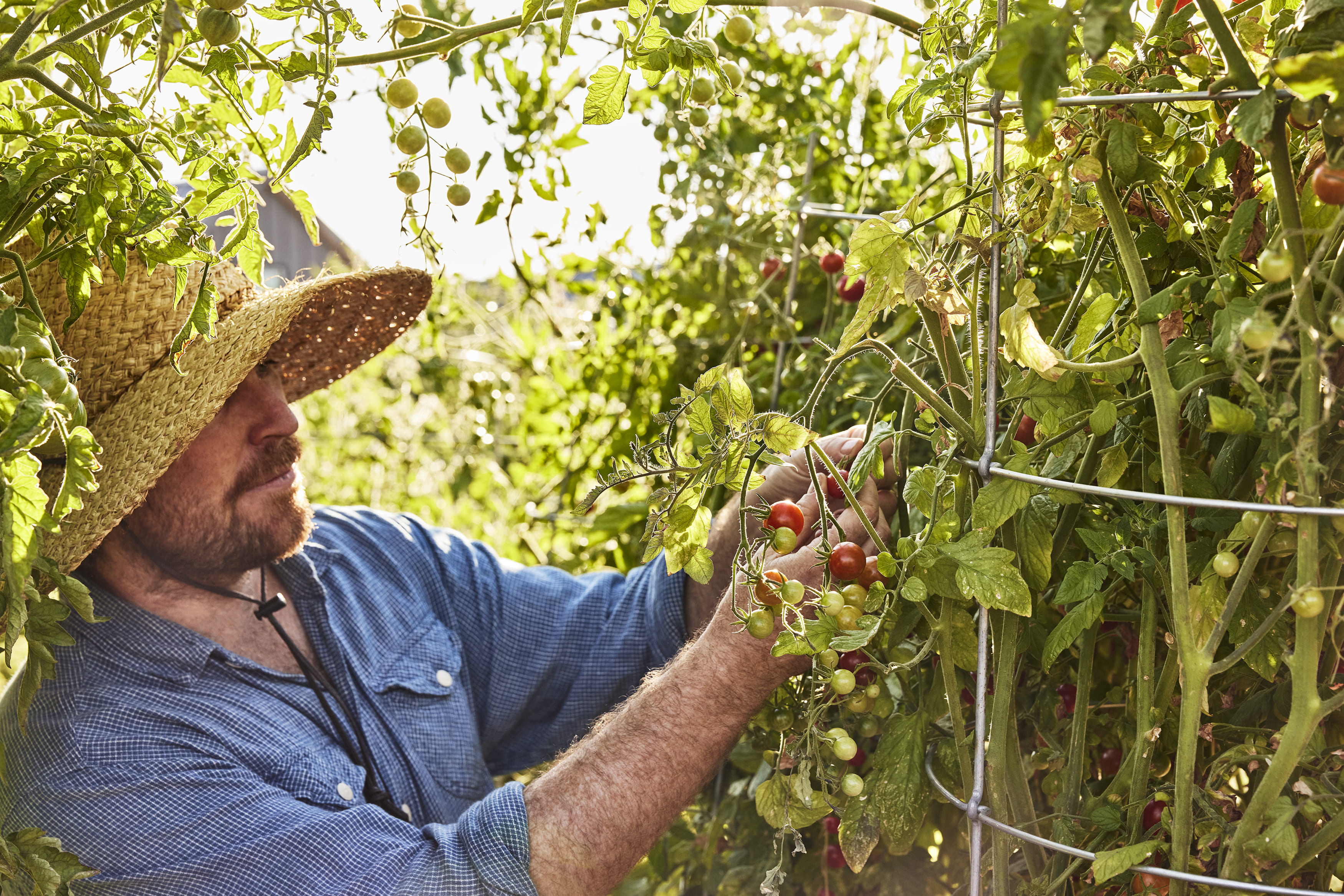 farm-director-nick-runkle