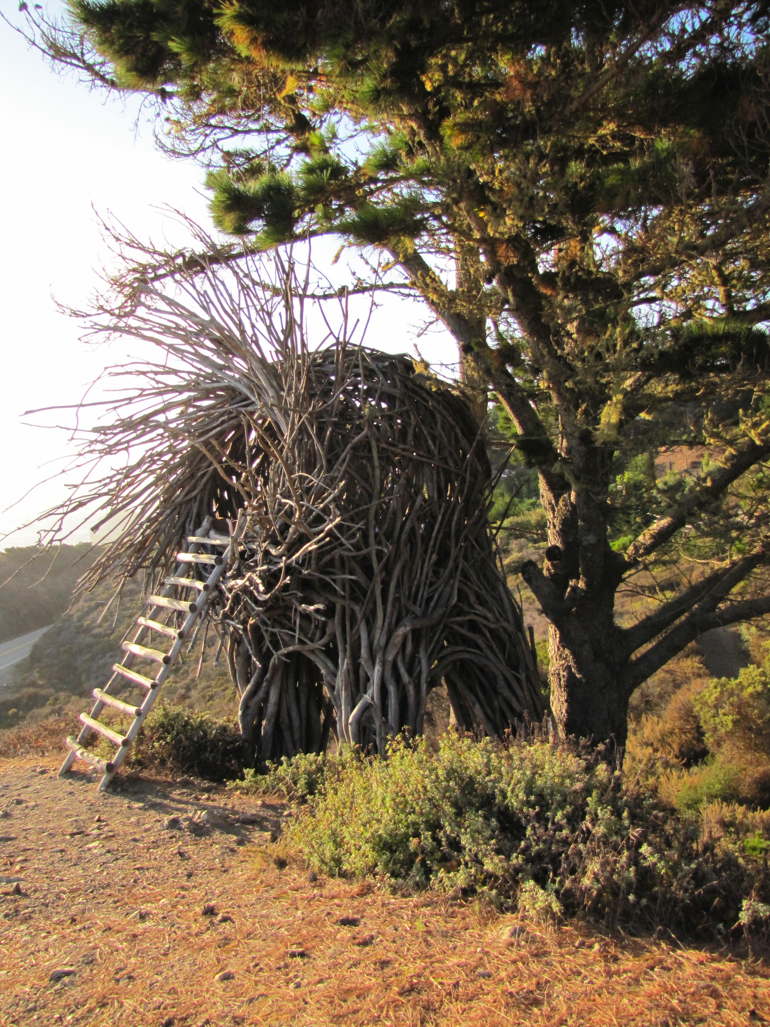 human-nest