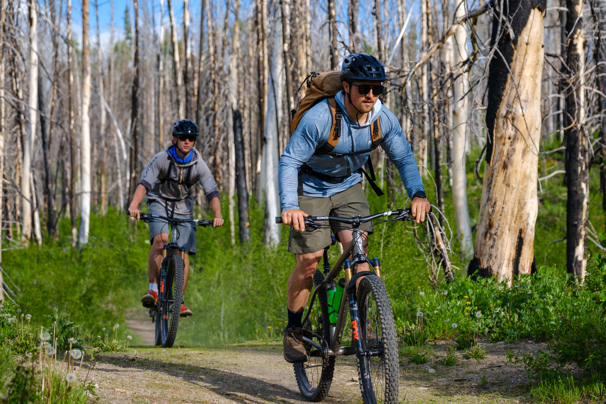 mountain-biking-in-routt-national-forest
