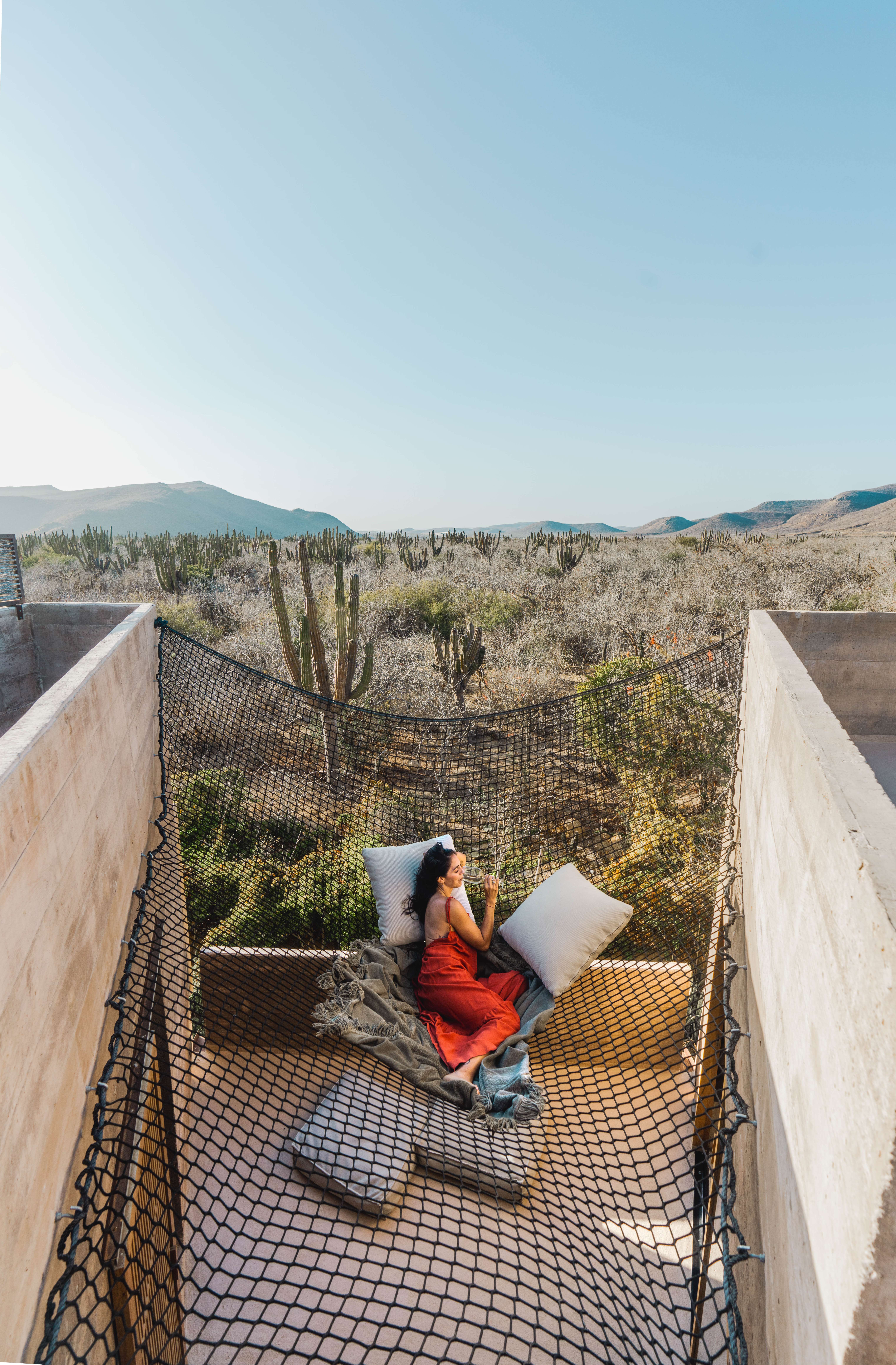 cacti-view-sky-suite-star-net
