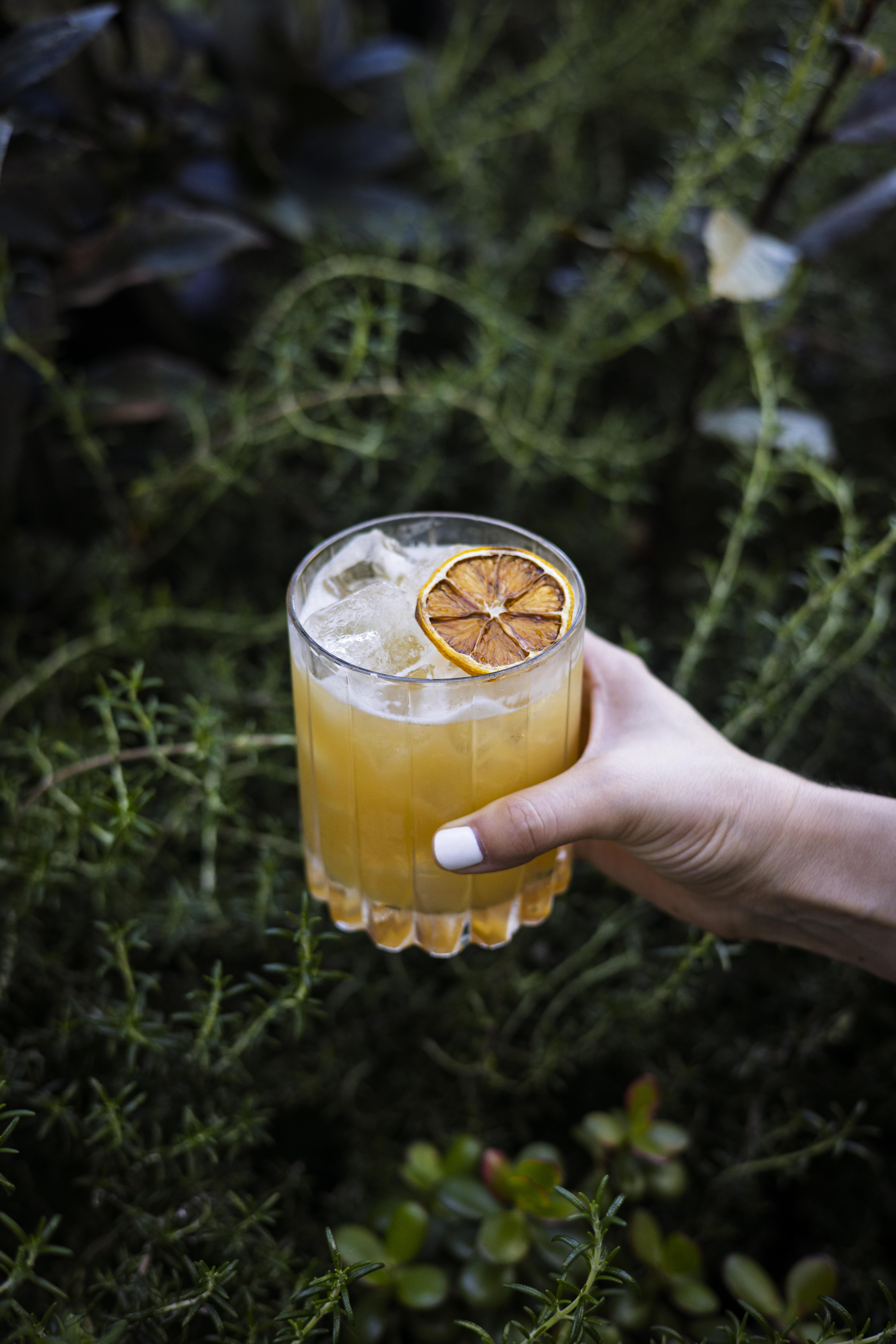 without-a-trace-cocktail-at-terrene