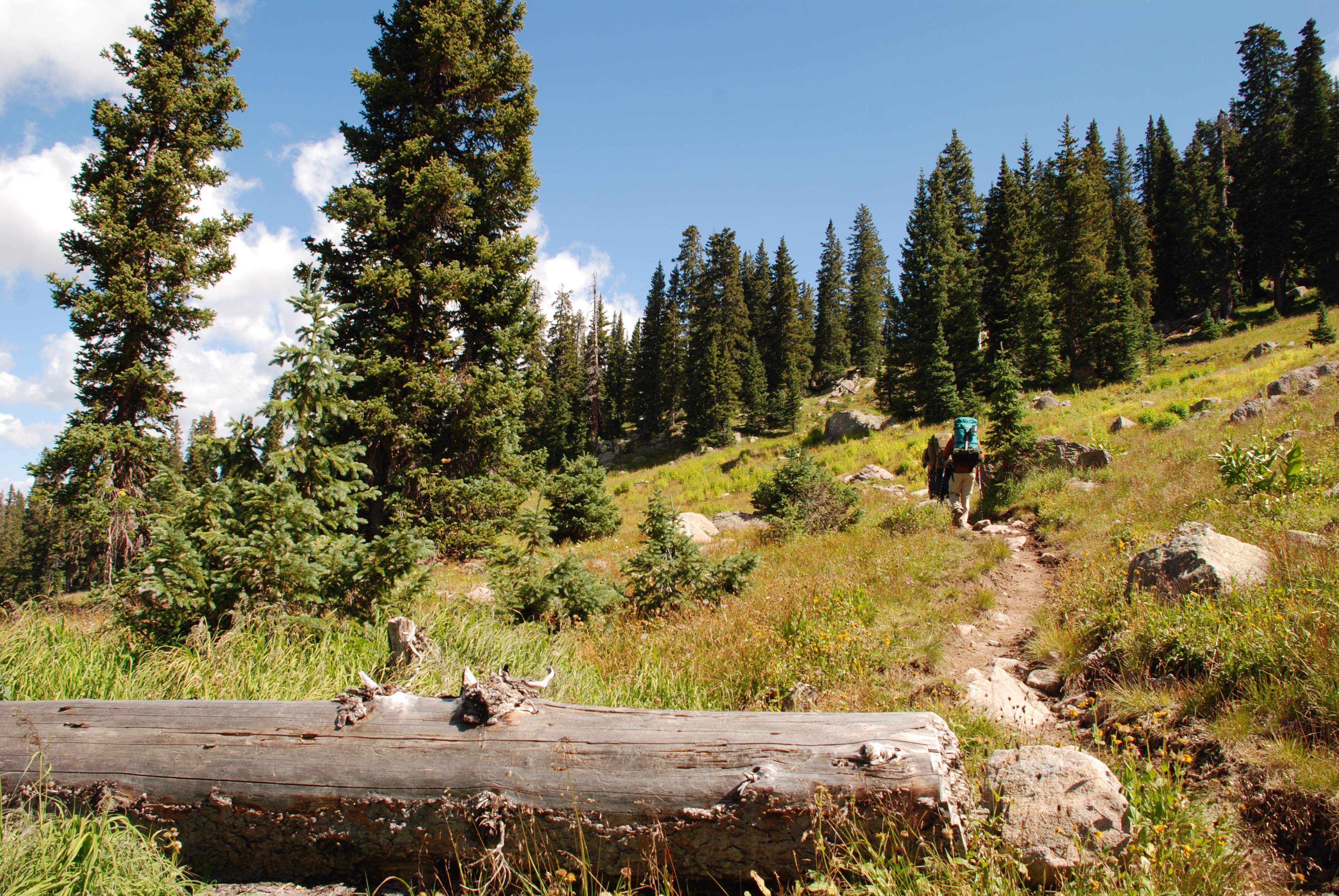 hiking-in-pagosa-springs