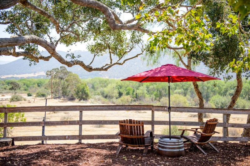 Hitching Post Wines