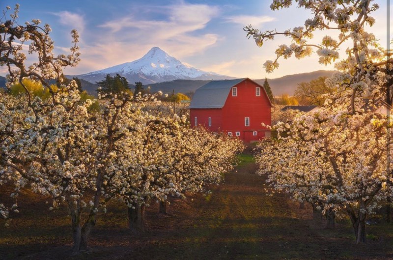 Hood River Fruit Loop