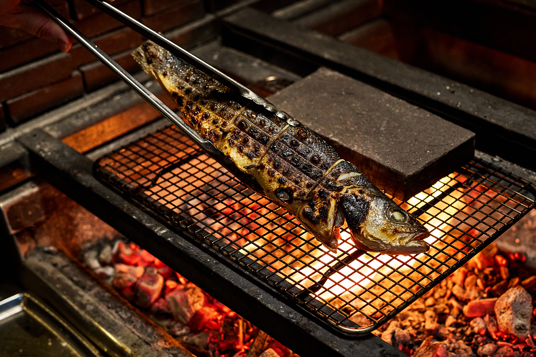 branzino