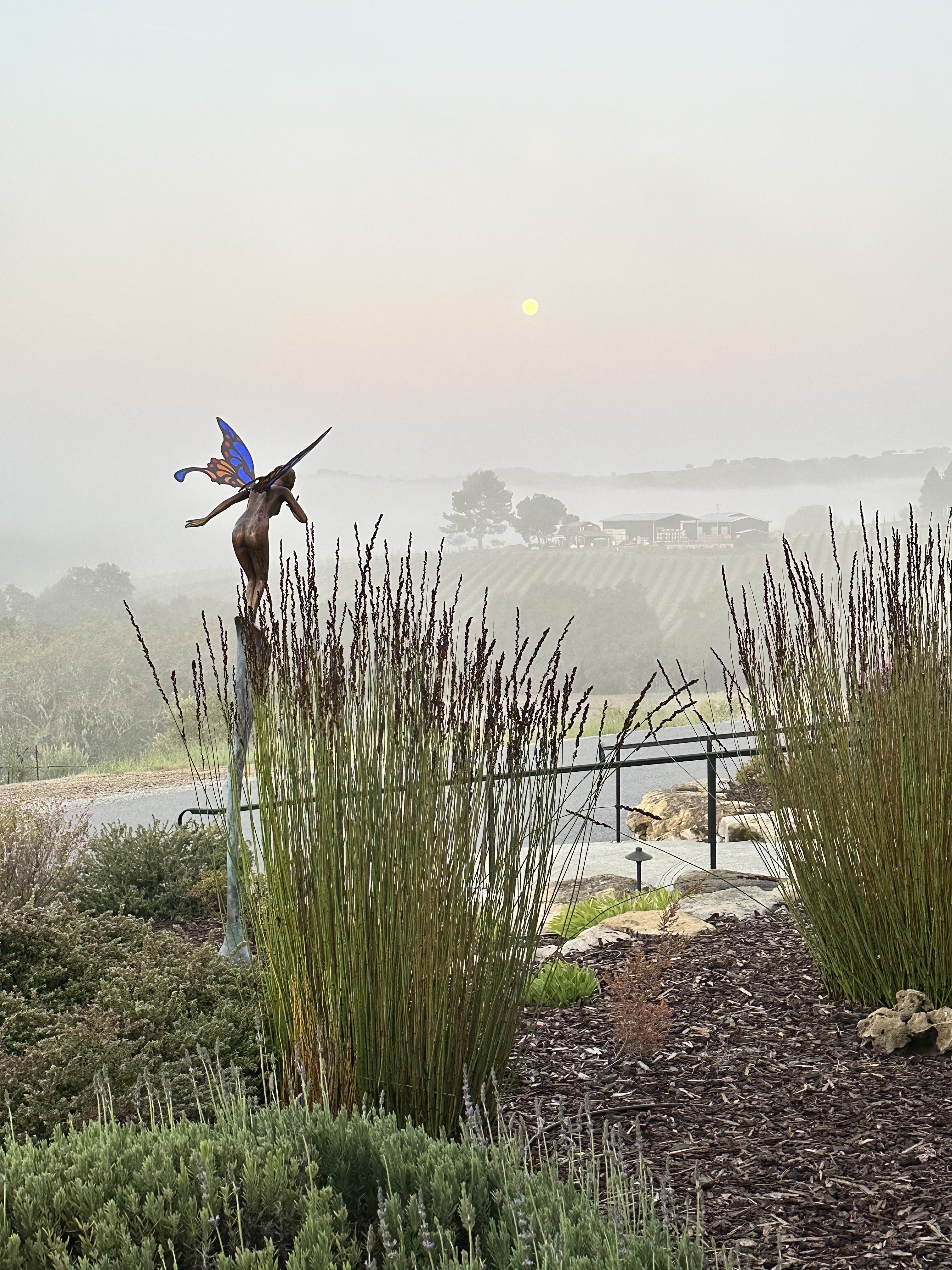 misty-morning-sunrise-view-from-atop-the-canyon-villa