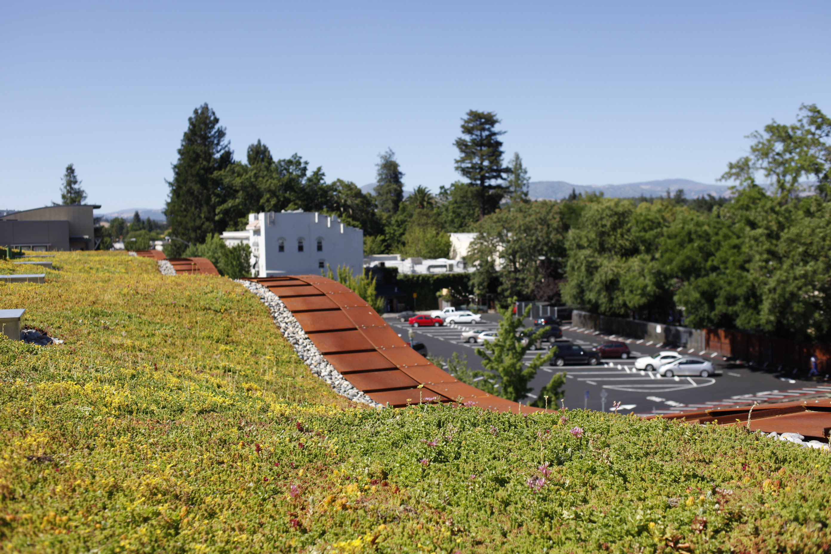 green-roof
