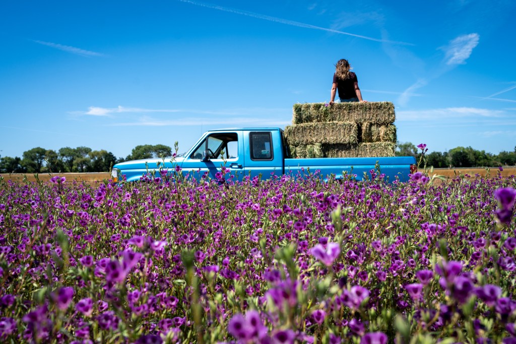 Hedgerow Farms Truck