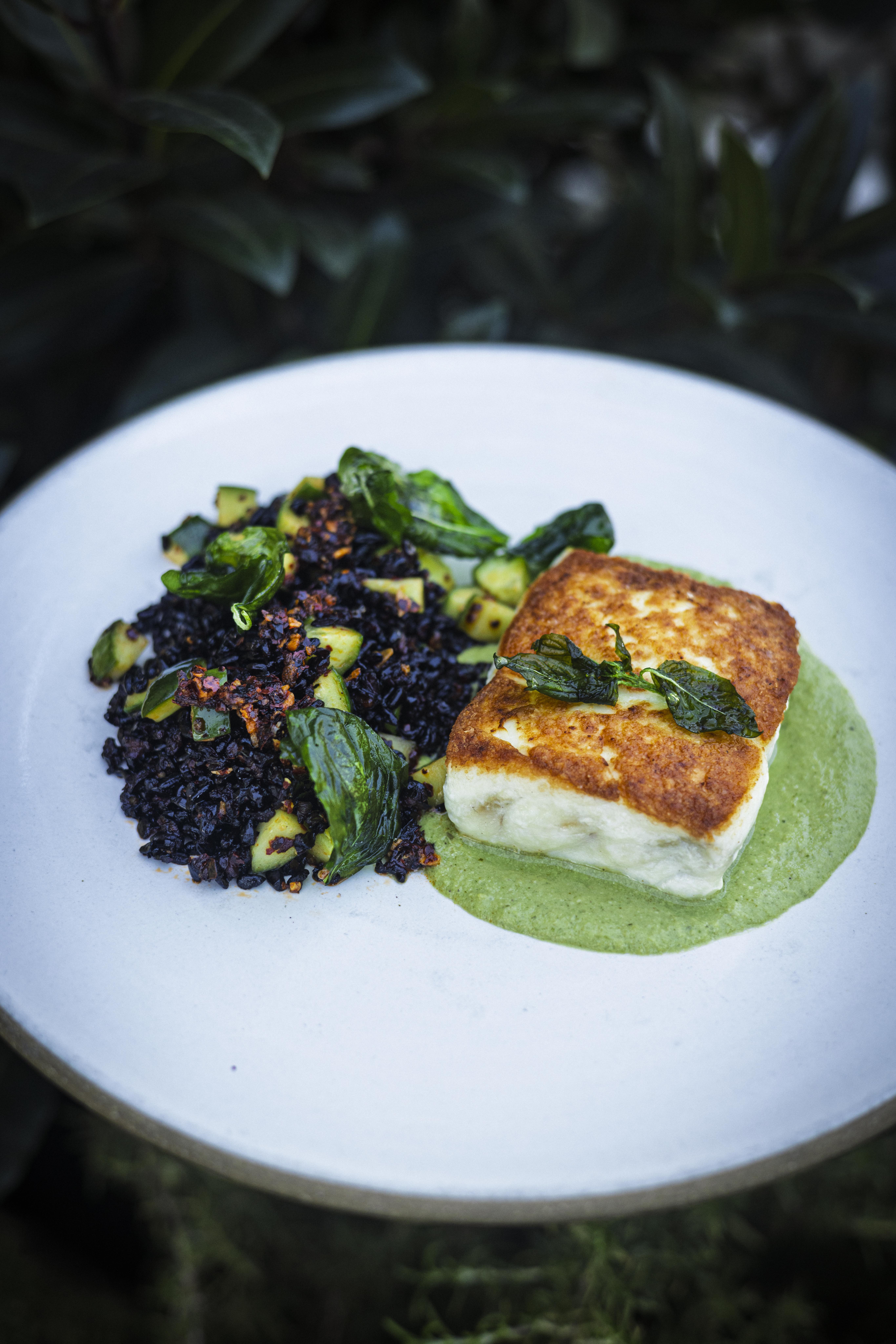 local-halibut-at-terrene