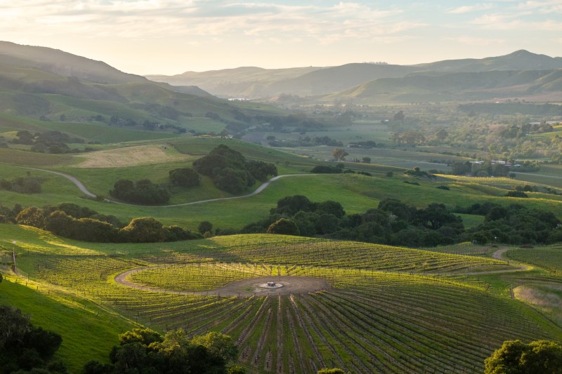Alma Rosa Winery