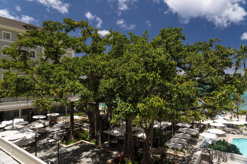 Moana Surfrider, A Westin Resort and Spa