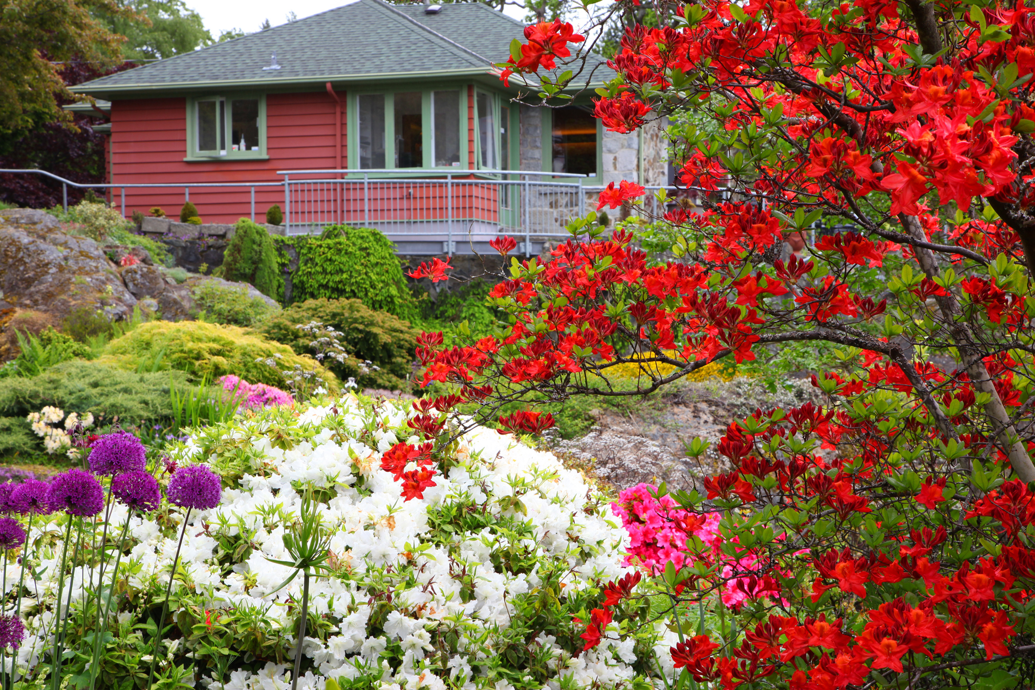 abkhazi-gardens-tea-house