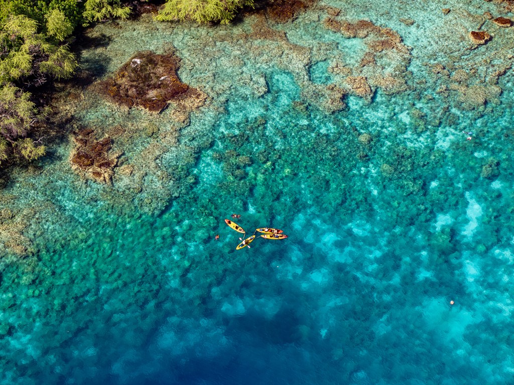 Kealakekua Bay with Kona Boys