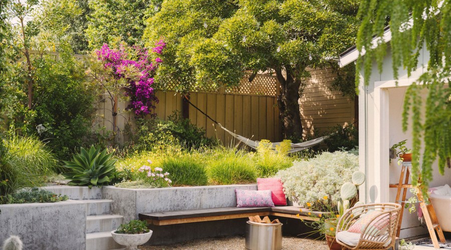 The Drought-Tolerant Garden That Actually Looks Lush All Summer