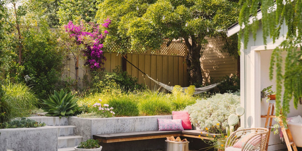 The Drought-Tolerant Garden That Actually Looks Lush All Summer