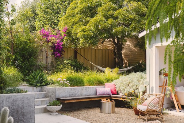 The Drought-Tolerant Garden That Actually Looks Lush All Summer