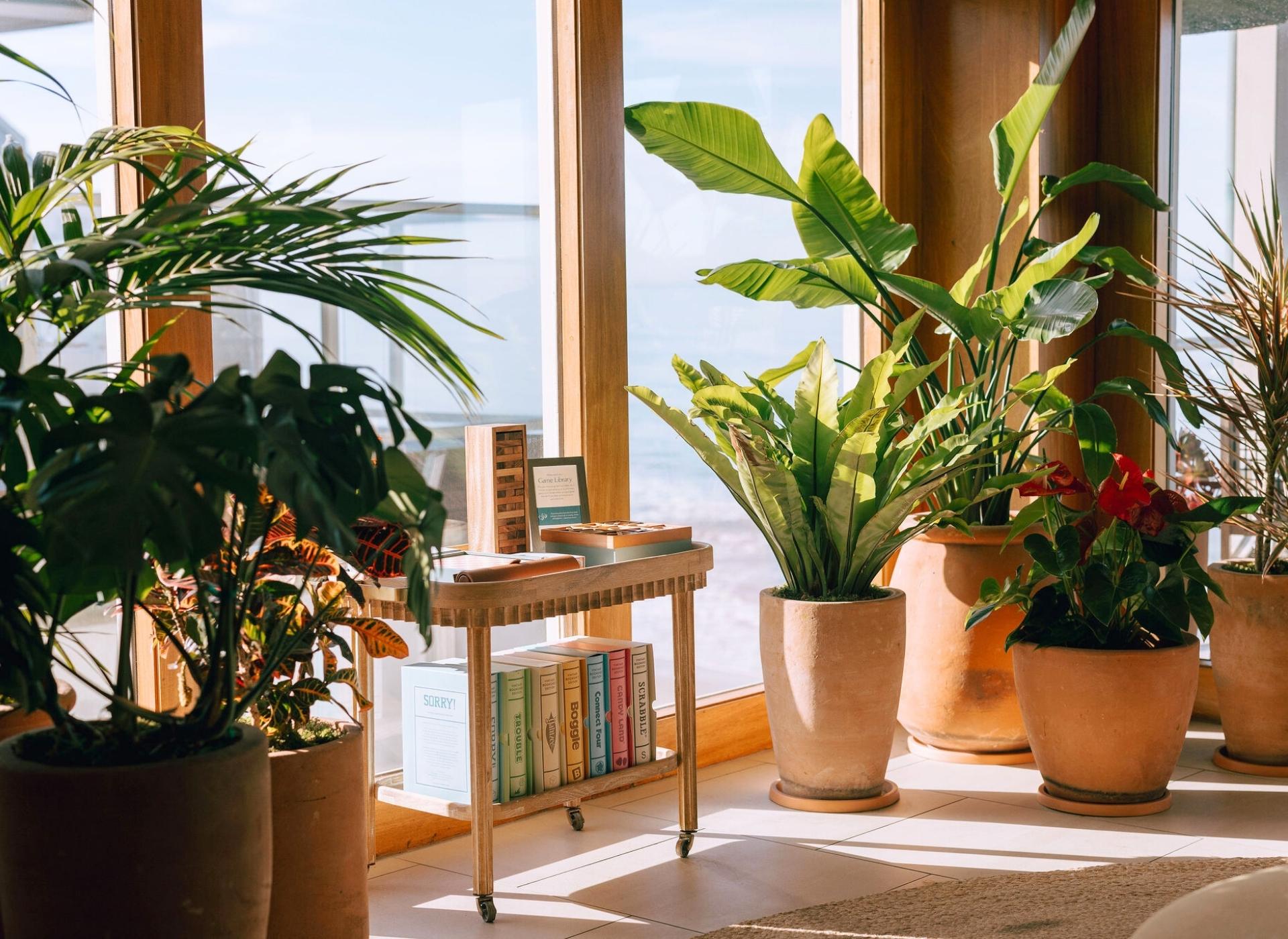the-lobby-game-library-at-beach-terrace