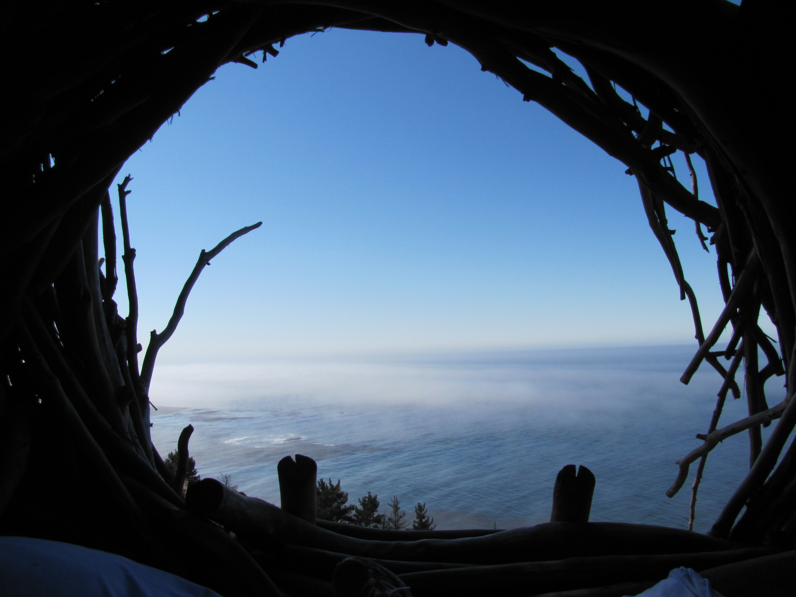 view-from-the-nest