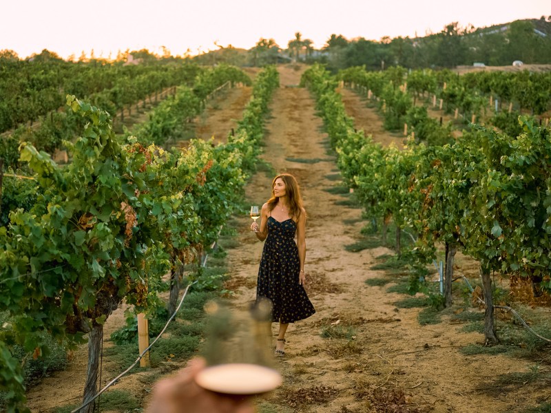 Temecula Wines