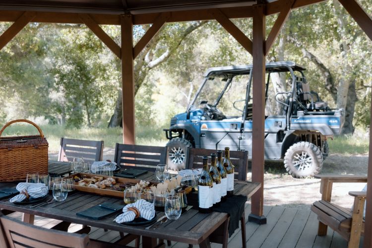 kcv-discovery-picnic-and-tour
