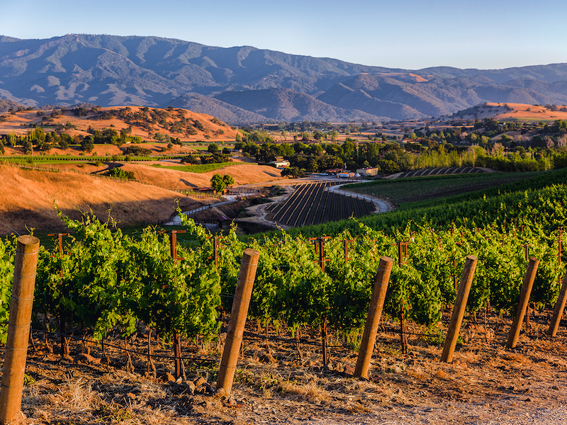 Santa Barbara Wine Country