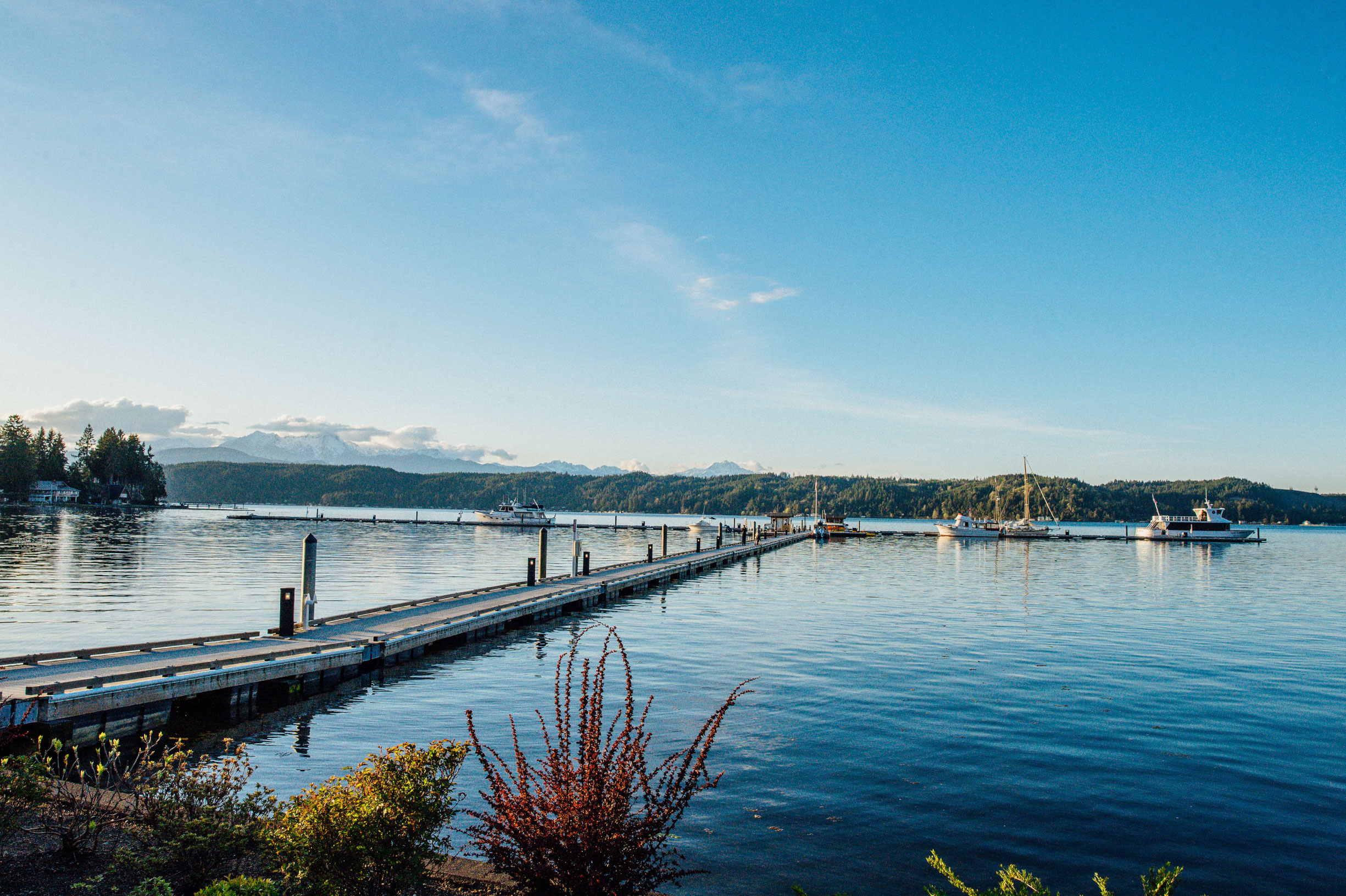 view-of-hood-canal-from-our-waterfront