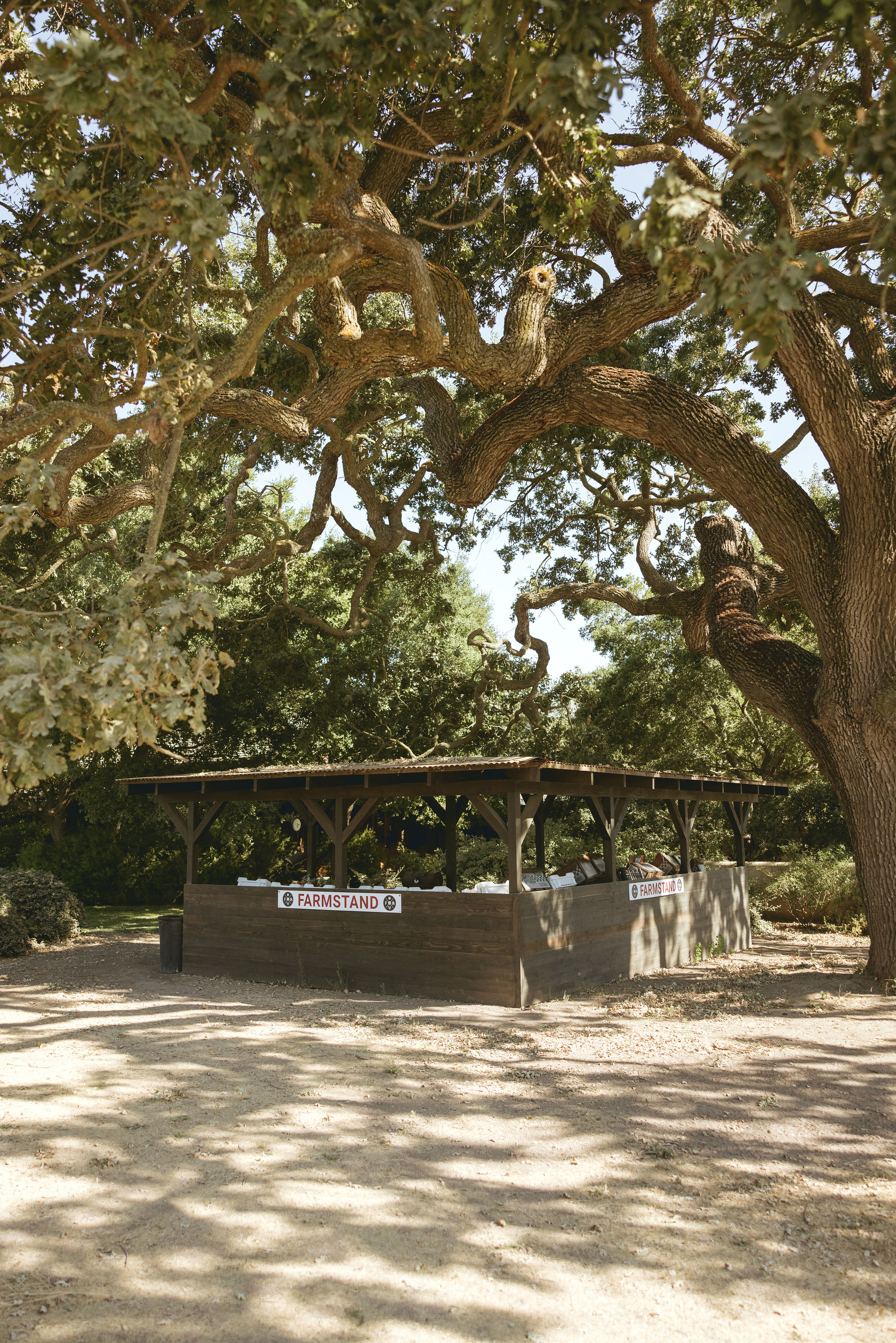 rooted-in-a-deep-agricultural-heritage-californias-santa-ynez-valley-offers-immersive-ways-to-connect-with-the-land