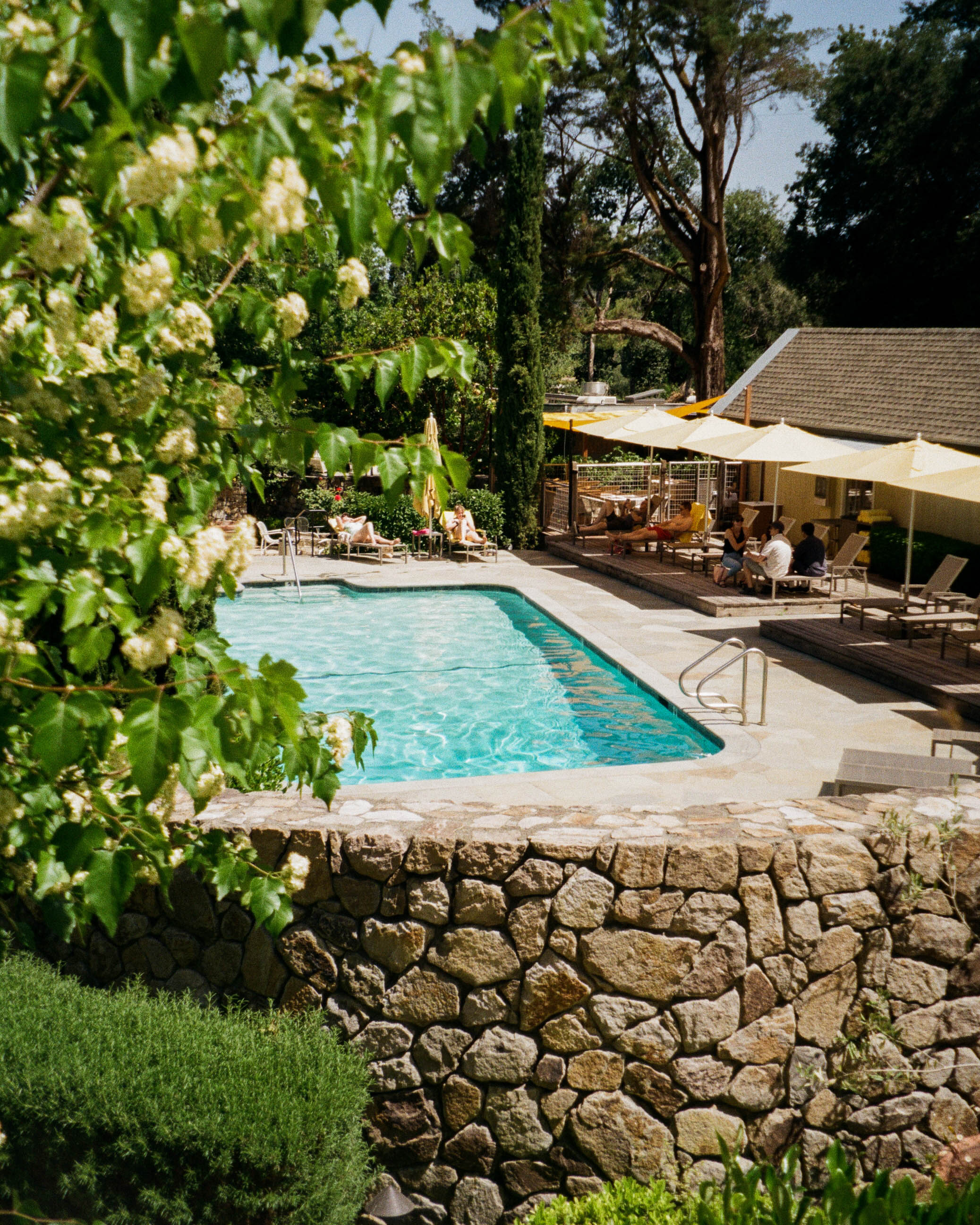 pool