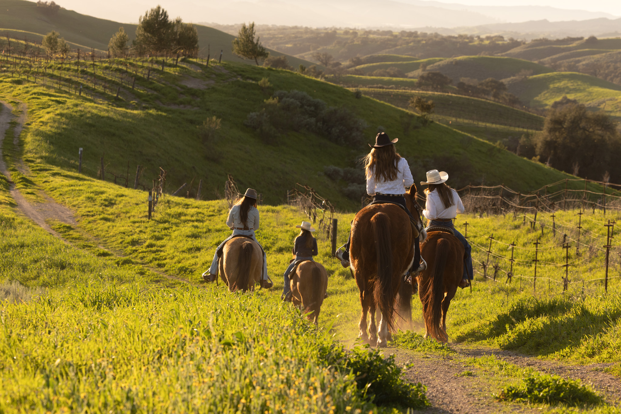 horseback-riding-at-demetria-estate