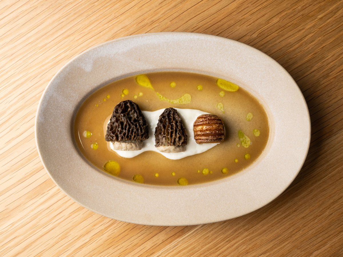 Jacaranda Stuffed Morels