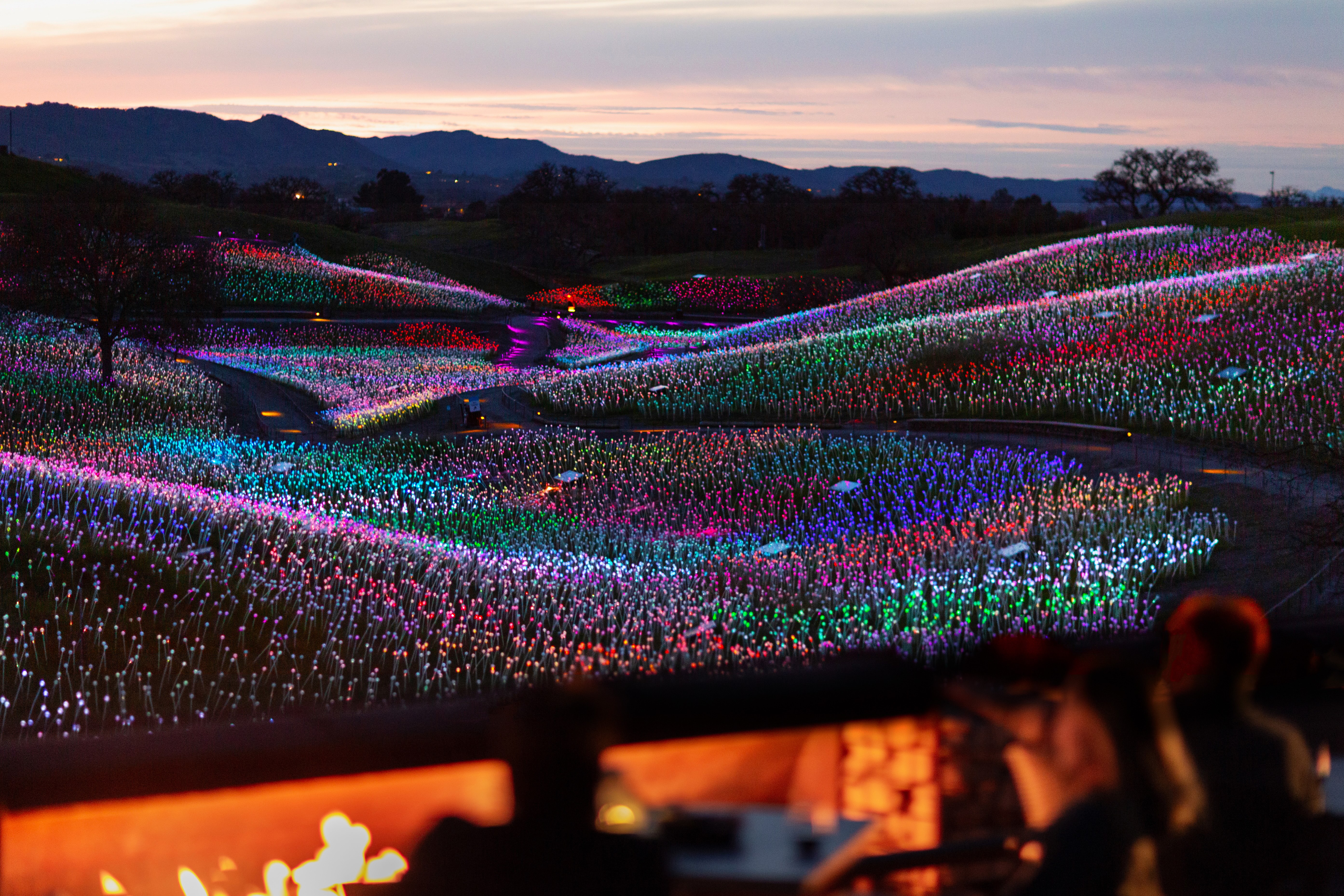 field-of-light