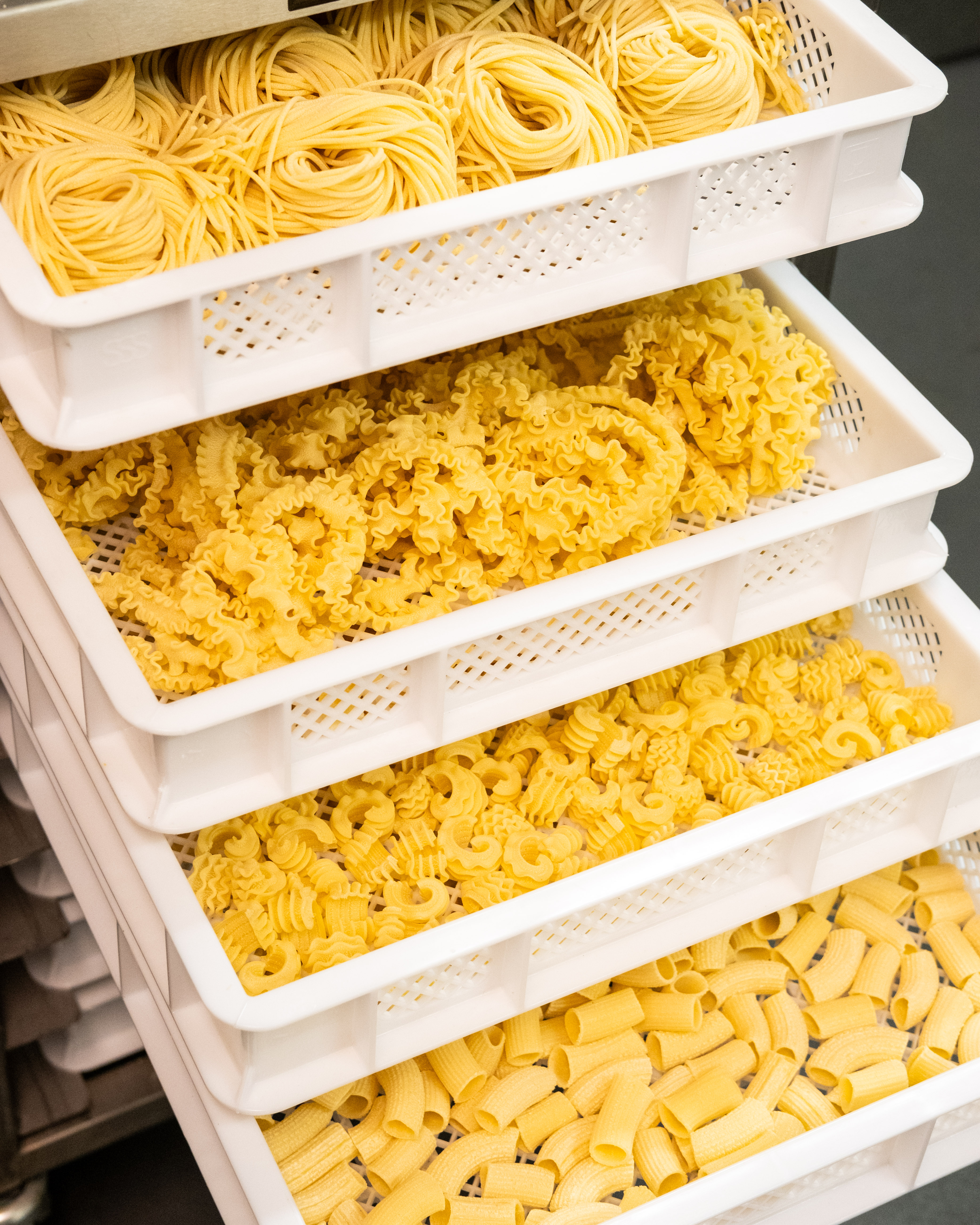 pasta
