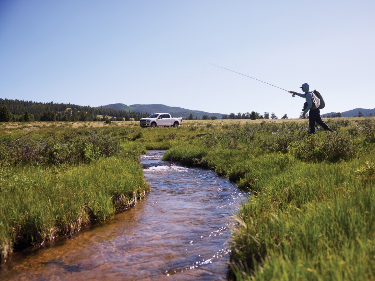 Fishing in a River