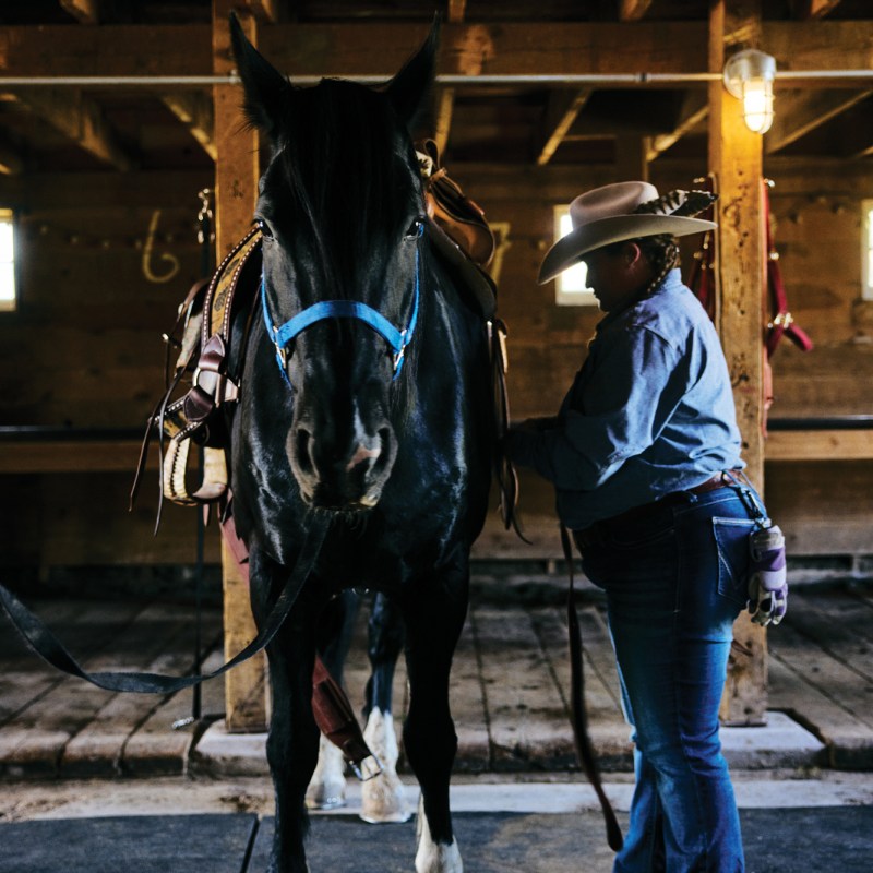 Ranch Hand with Horse