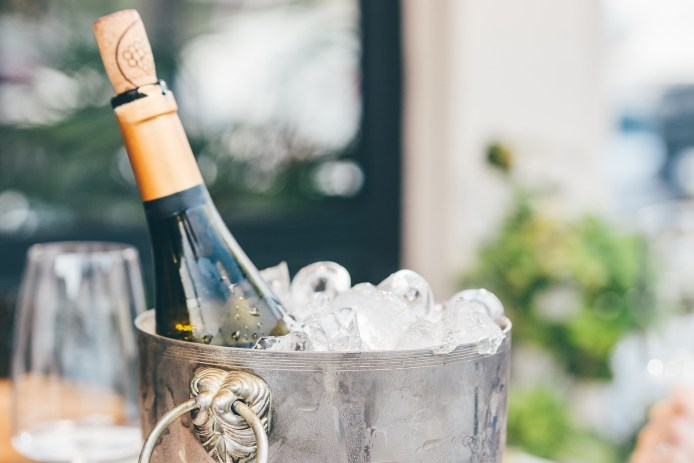 Wine Bottle Ice Bucket