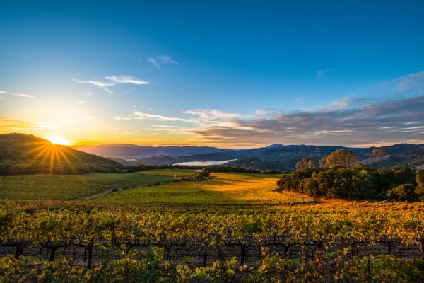 Everyone Needs a Wine Weekend—Here’s Where to Go