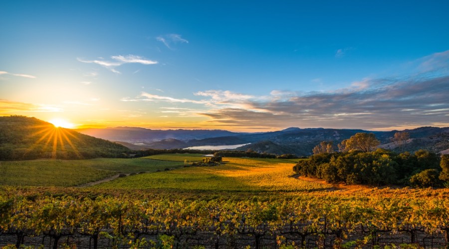 Everyone Needs a Wine Weekend—Here's Where to Go
